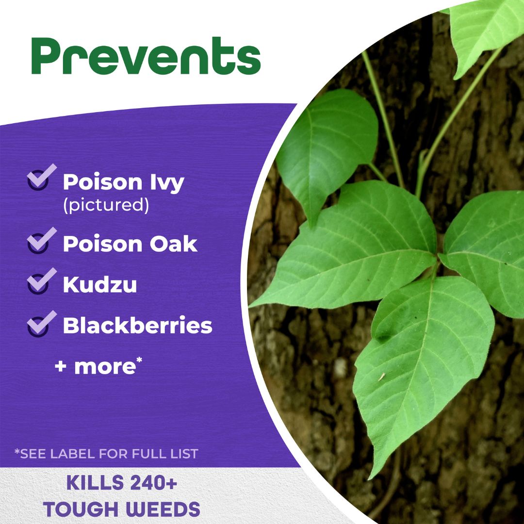 Poison Ivy & Brush Killer Concentrate – Bonide – 16 oz